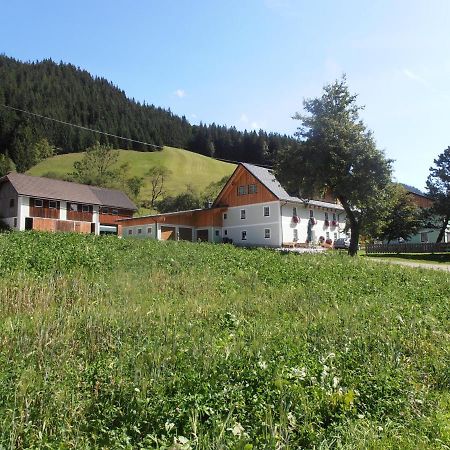 Villa Huberbauer Johnsbach Exterior foto