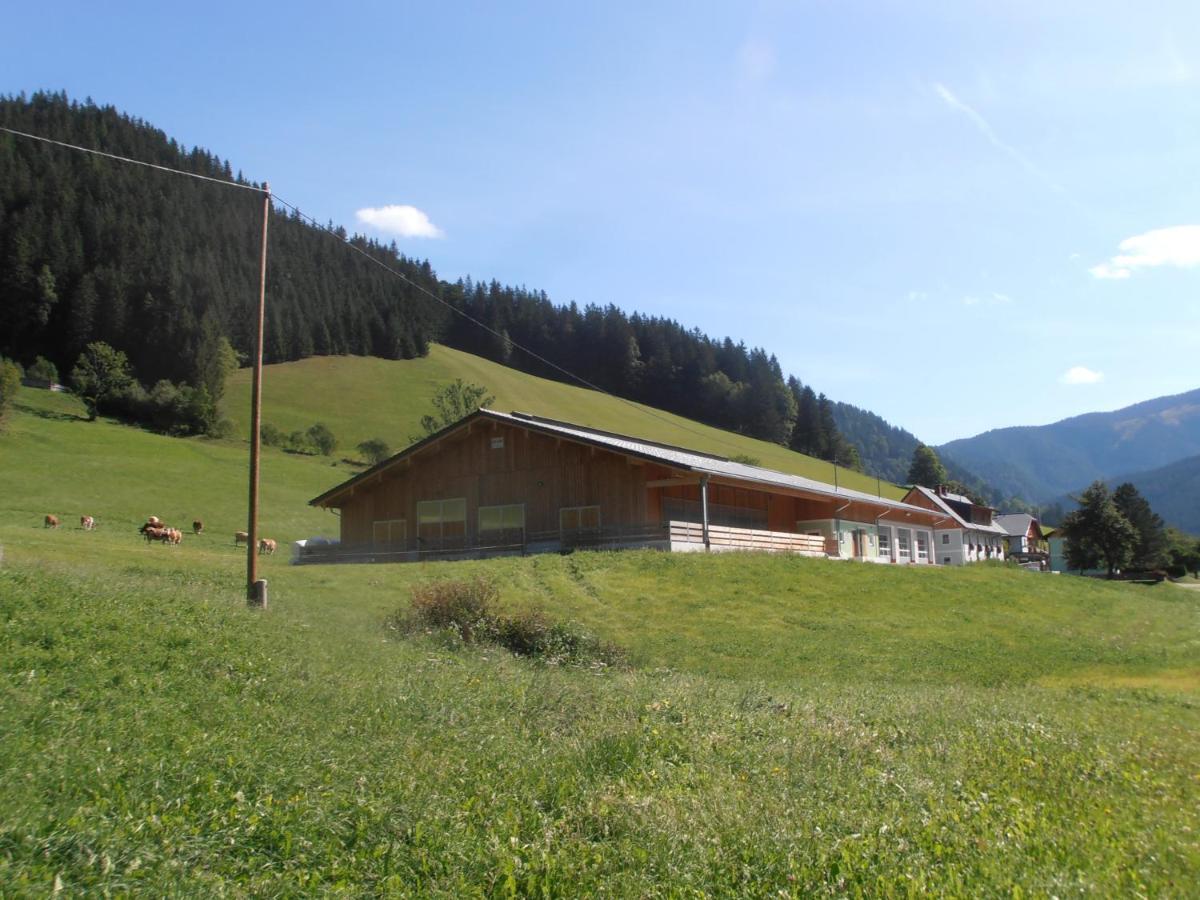 Villa Huberbauer Johnsbach Exterior foto